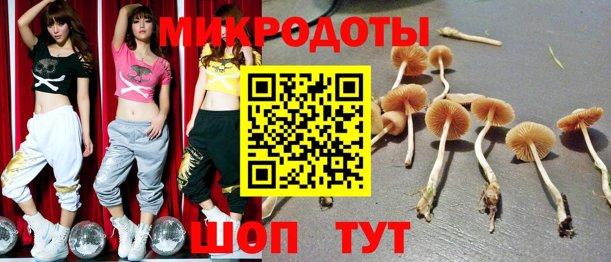 Псилоцибиновые грибы Psilocybine cubensis Чебаркуль