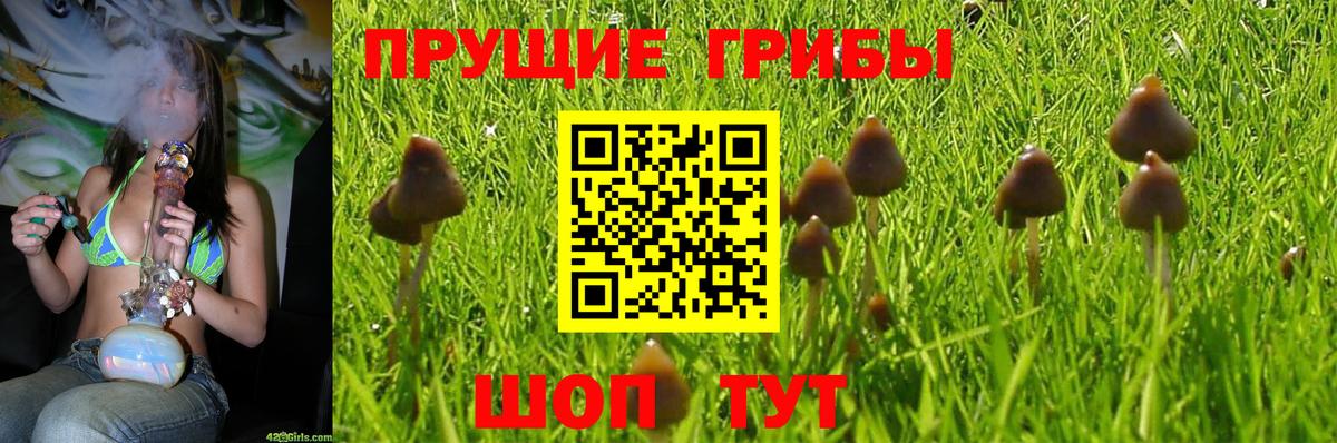 Чебаркуль  Псилоцибиновые грибы ЛСД  Псилоцибиновые грибы Psilocybe  Вход с VPN 